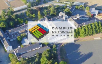 Un(e) Responsable Filières Enseignement Supérieur