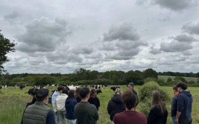 Les 1ère STAV en immersion à la Ferme des 7 Chemins