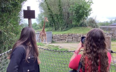 Sortie pédagogique au Parc de Branféré